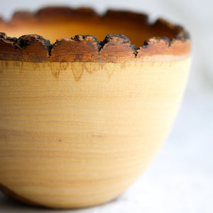 Natural Edged Ash Bowl, with Spalting and Other Figuring
